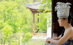 忘忧草2两忘情草2线莫愁湖